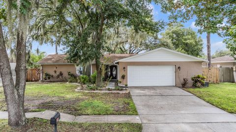 A home in VALRICO