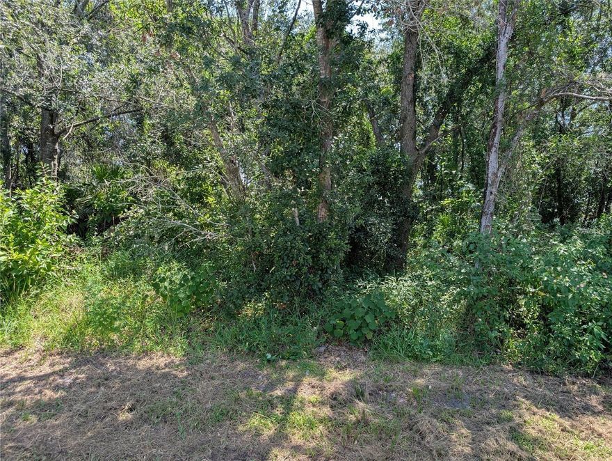 An undeveloped residential lot on a Cul-d-sac in a residential neighborhood. Utilities available. The lot next door at 807 Cardinal Way is also for sale under MLS # O6394778
