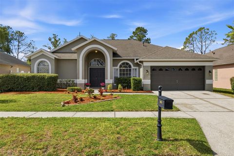Photo of 10121 Kingshyre Way, Tampa, FL 33647 (MLS # TB8500482)