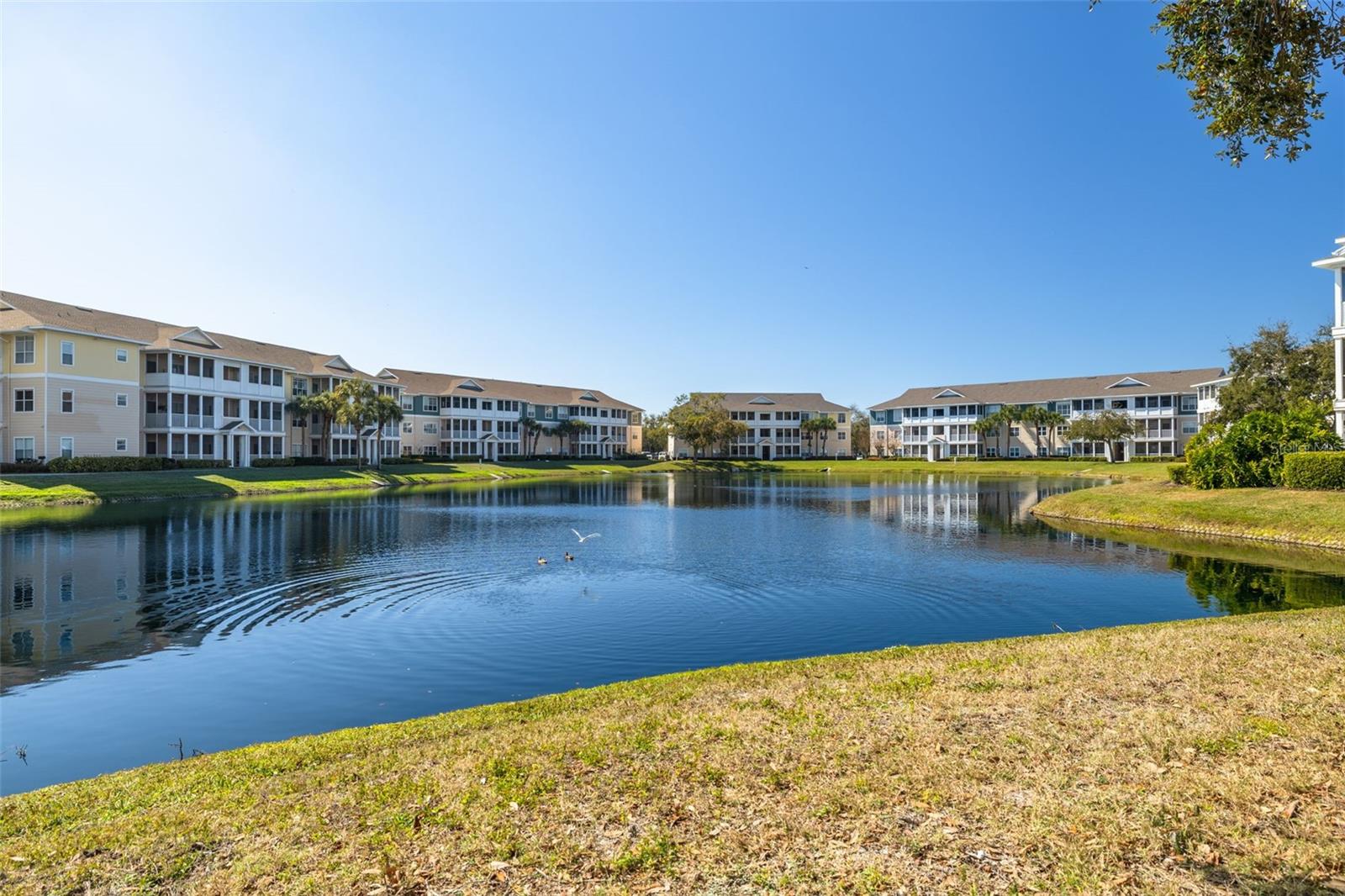 THE PALMS OF CORTEZ - Residential