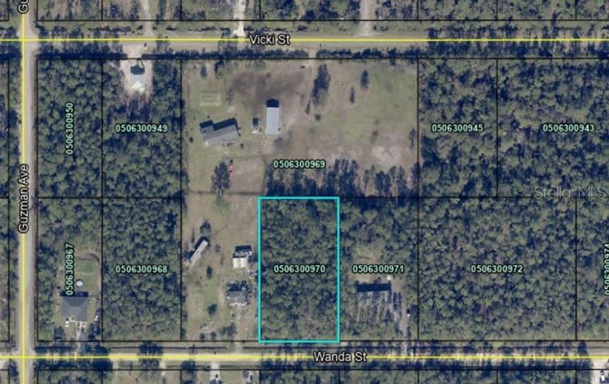 Great 1.14 acres lot in Flagler Estates subdivision in Hastings, Florida! Close to historic Saint Augustine, Saint Johns River, and located in a peaceful quiet location, surrounded by beautiful nature. Zoning allows for mobile homes or single-family homes and allows animals with no restrictions to park the boat, RV, and equipment! The buyer is responsible for the well and septic tank. Bring offers!