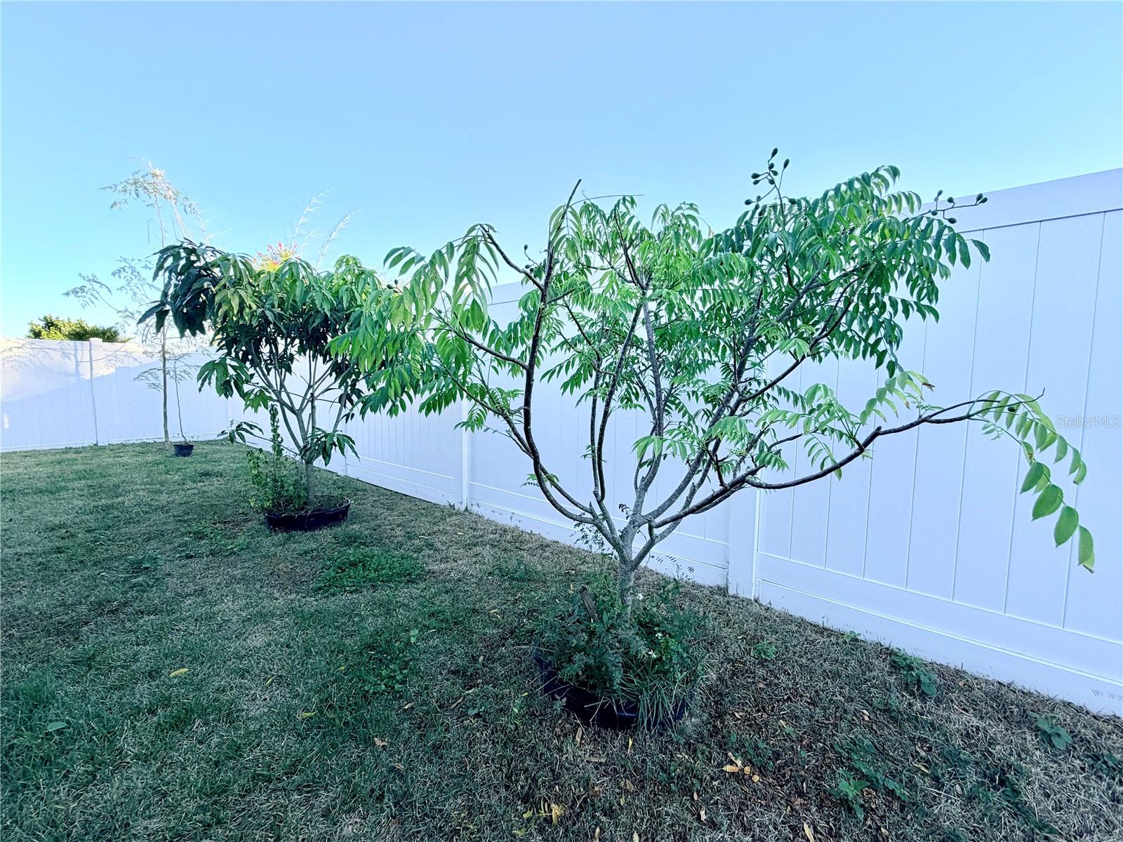 ASHLEY PINES - Residential Lease