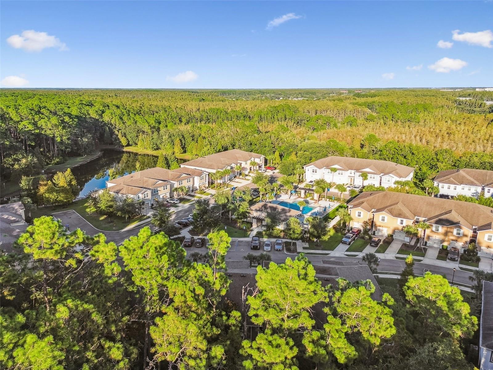LAKESHORE PRESERVE - Residential
