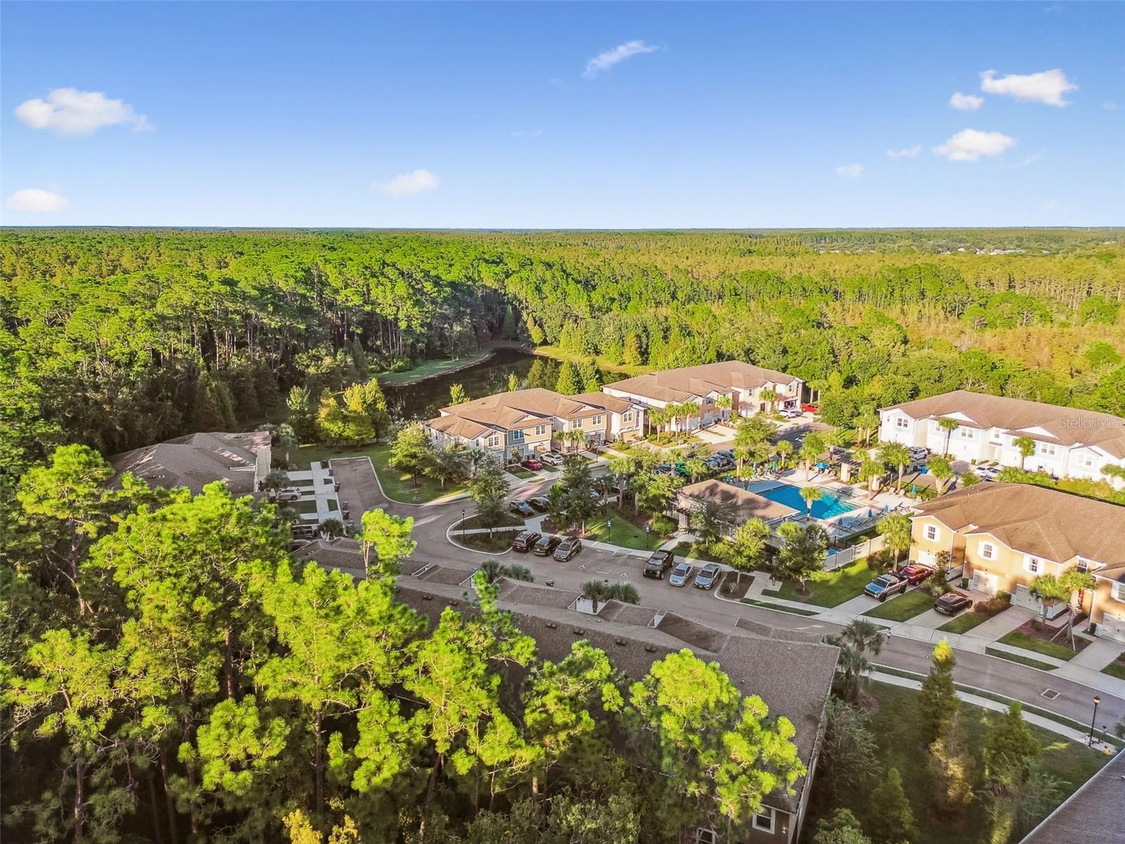 LAKESHORE PRESERVE - Residential