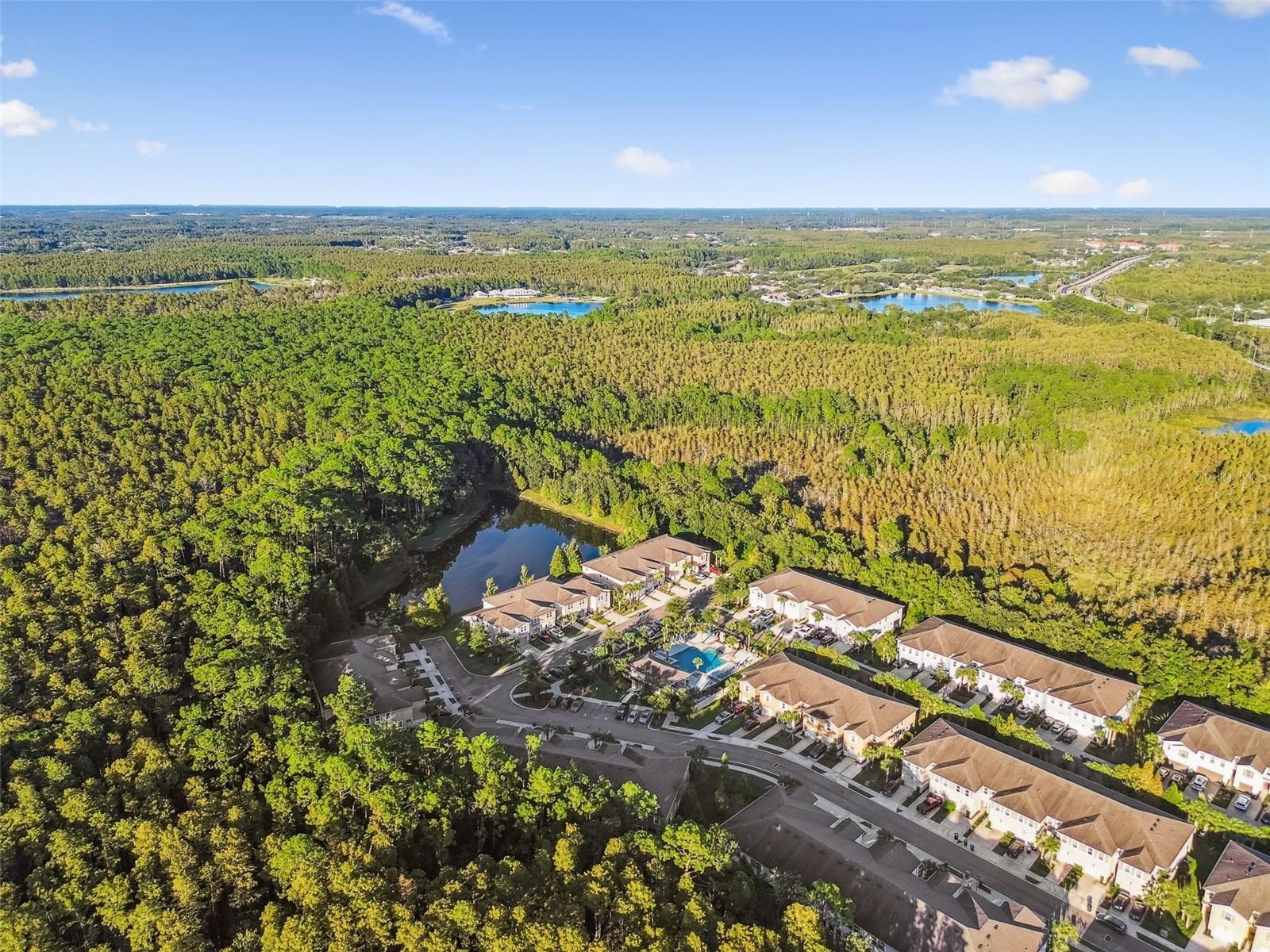 LAKESHORE PRESERVE - Residential