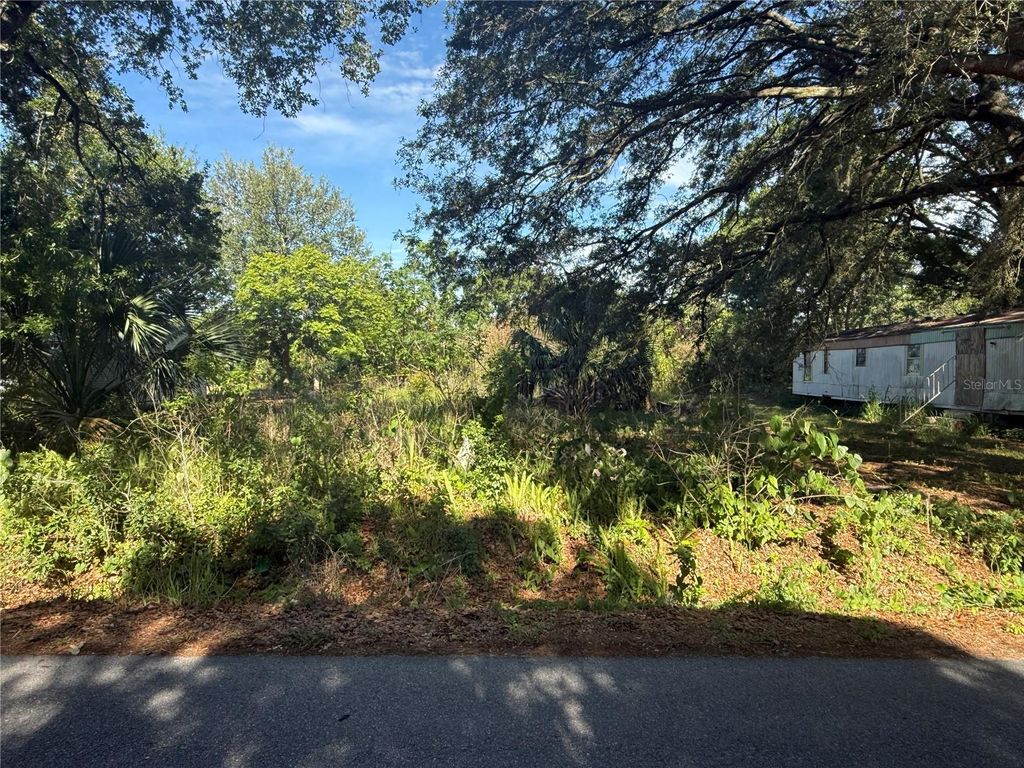 Photo of 1251 37th Street NW, Winter Haven, FL 33881 (MLS # P4938990)