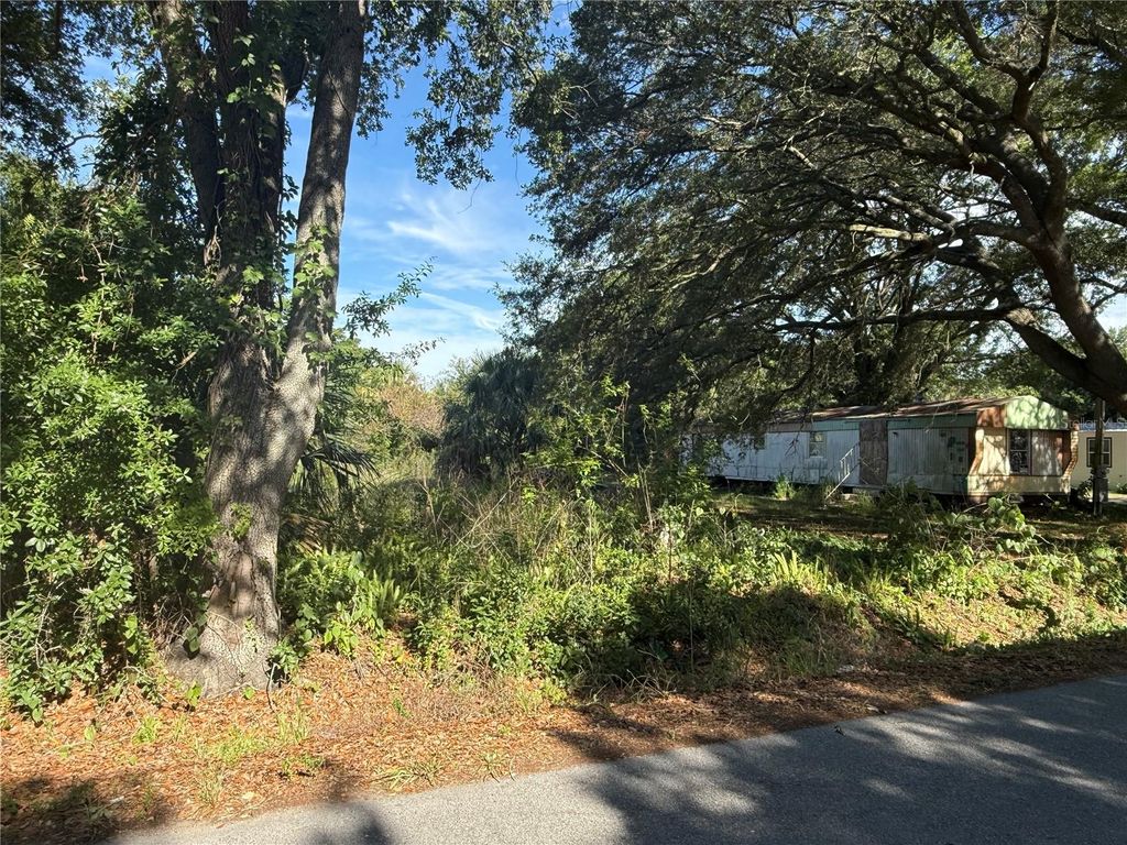 Photo of 1251 37th Street NW, Winter Haven, FL 33881 (MLS # P4938990)