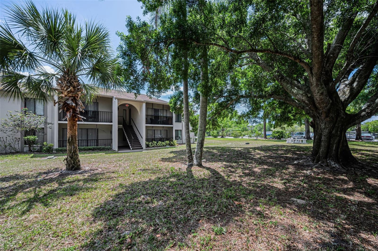 PINE RIDGE AT PALM HARBOR - Residential