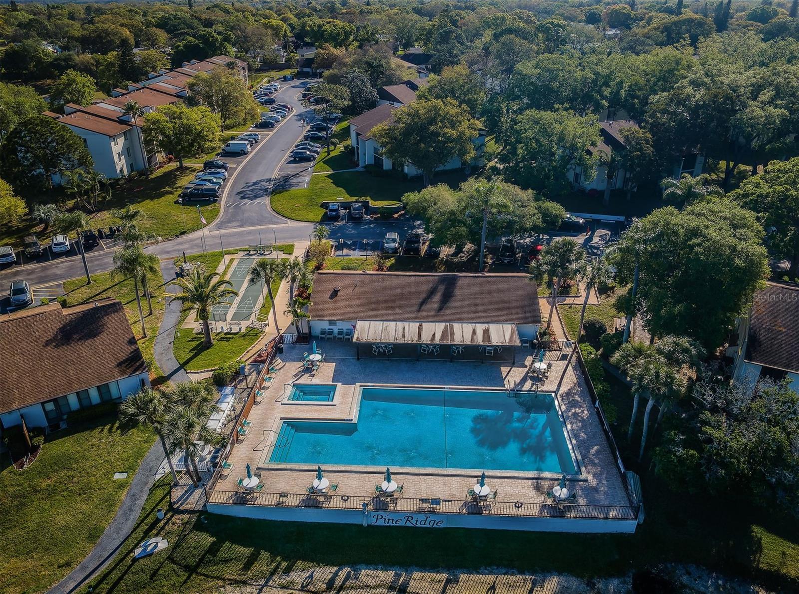 PINE RIDGE AT PALM HARBOR - Residential