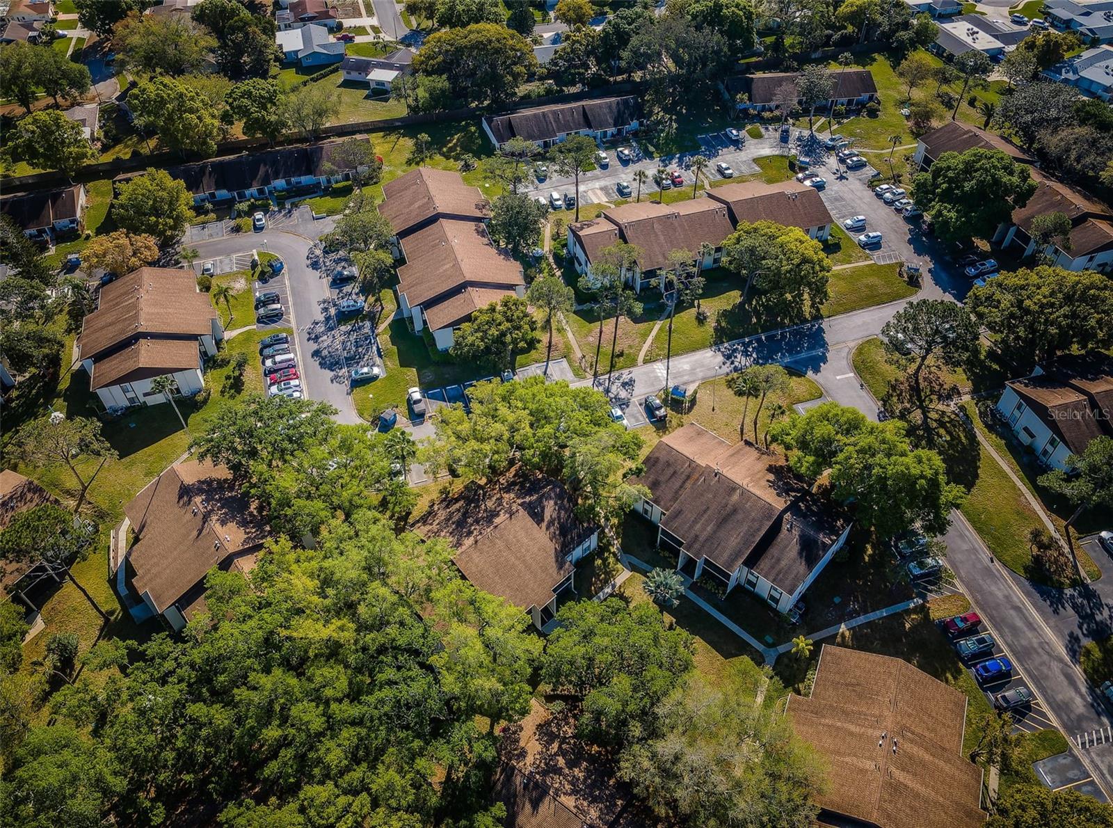 PINE RIDGE AT PALM HARBOR - Residential