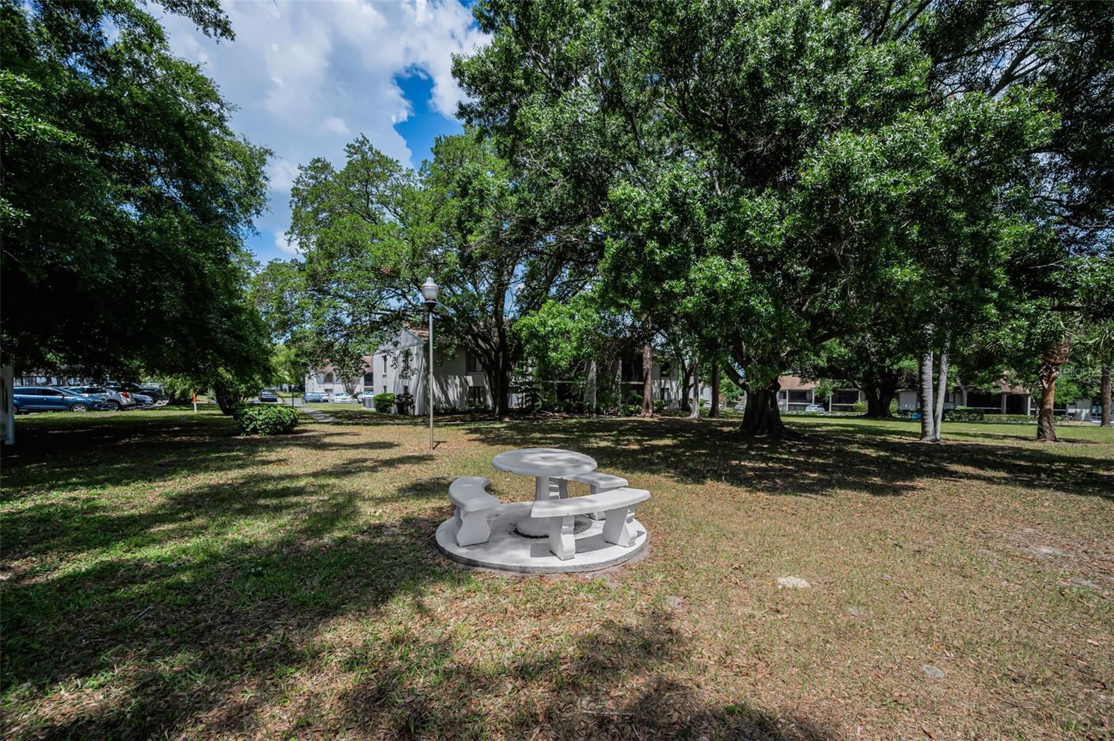 PINE RIDGE AT PALM HARBOR - Residential