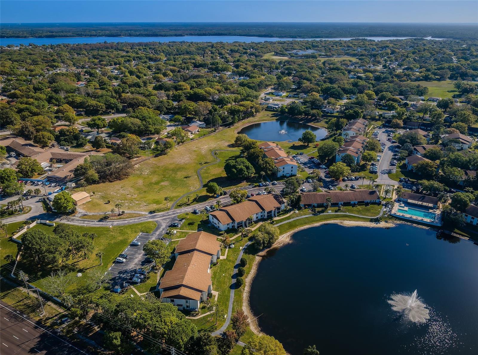 PINE RIDGE AT PALM HARBOR - Residential