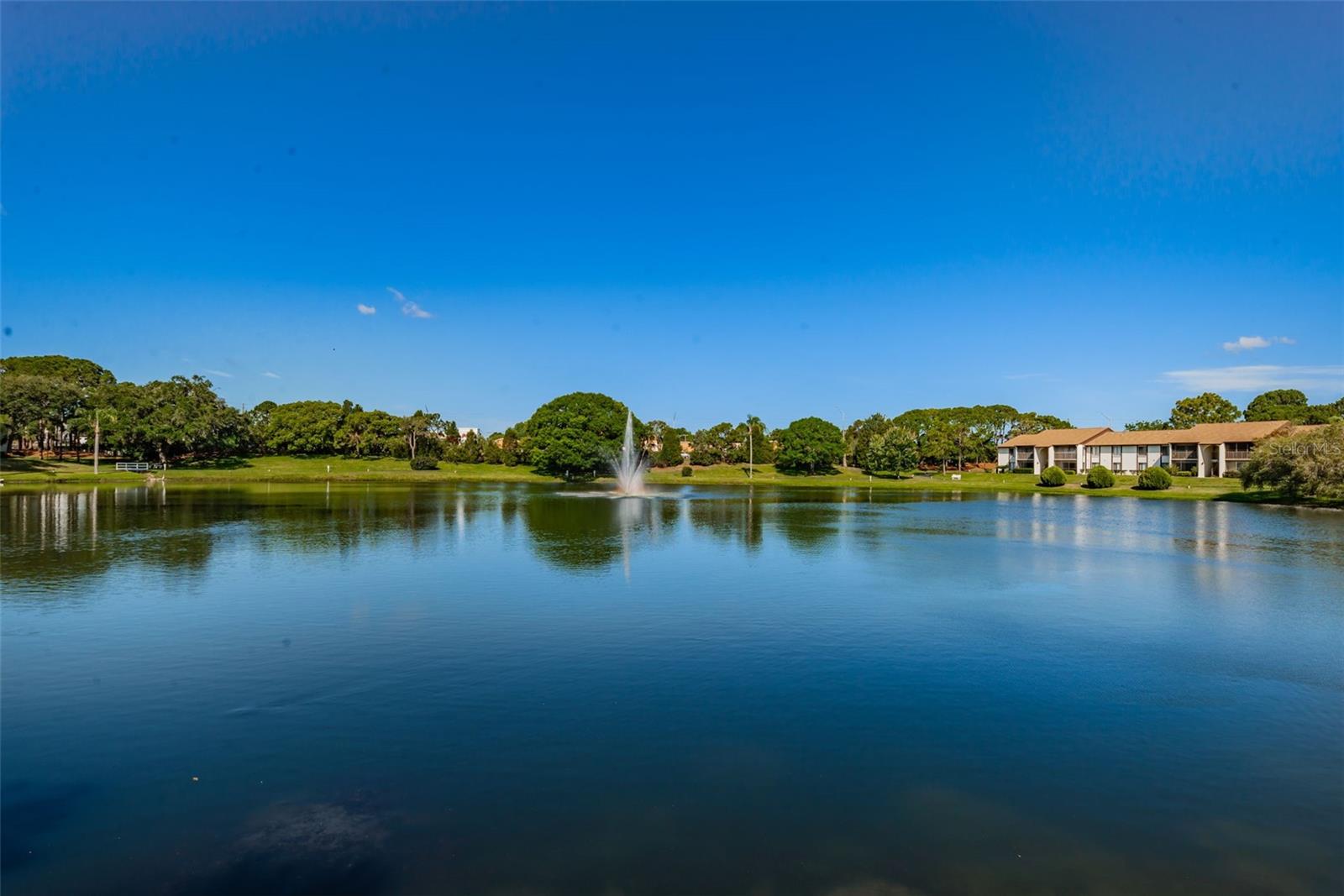 PINE RIDGE AT PALM HARBOR - Residential