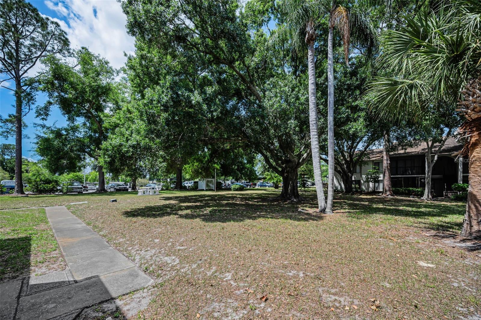 PINE RIDGE AT PALM HARBOR - Residential