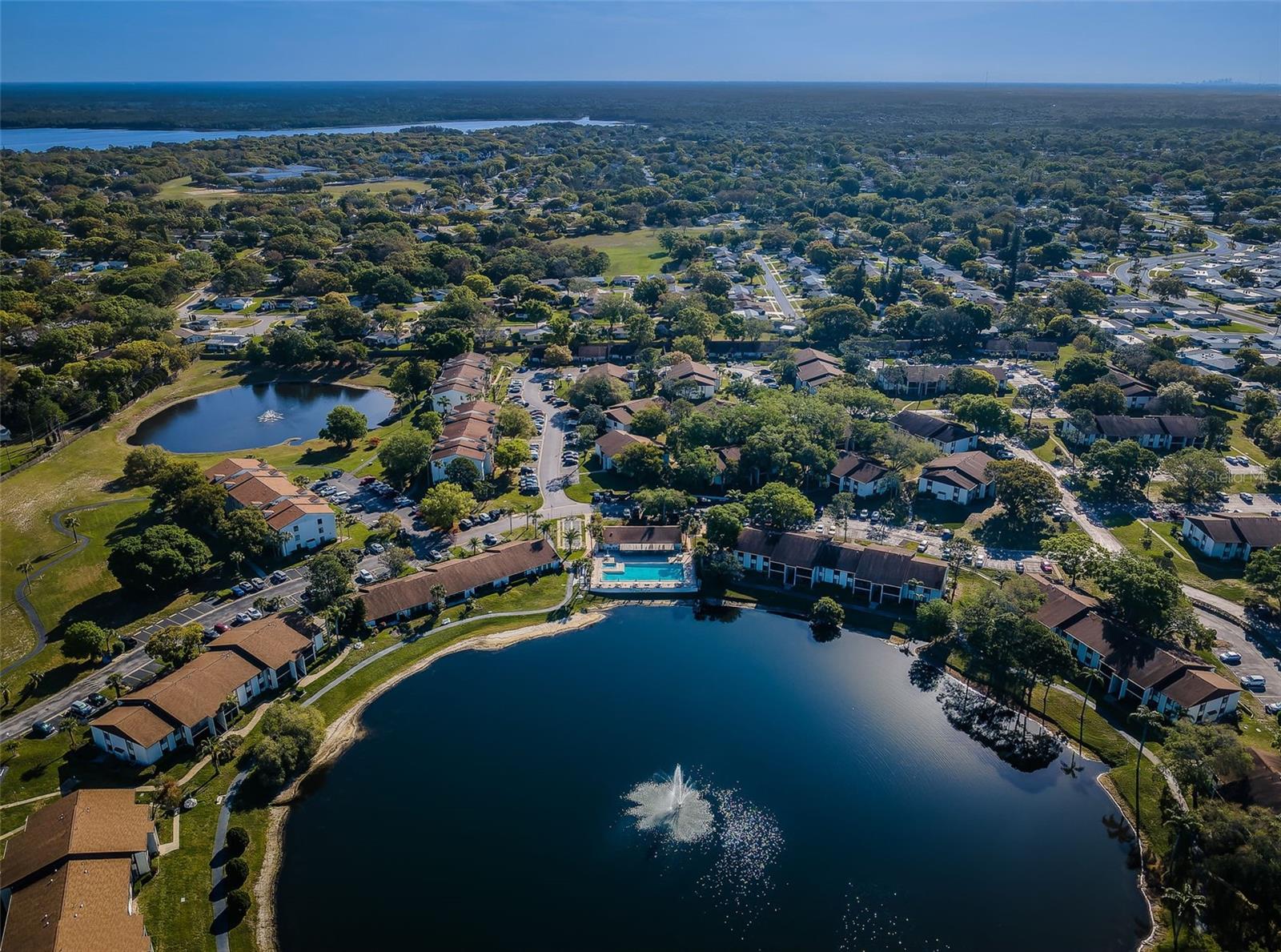 PINE RIDGE AT PALM HARBOR - Residential