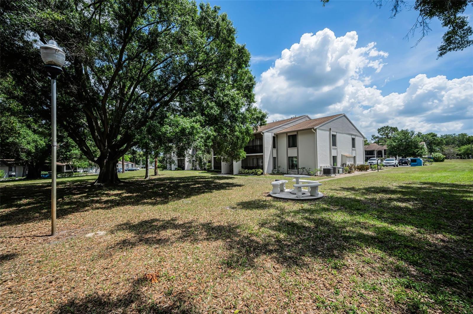 PINE RIDGE AT PALM HARBOR - Residential