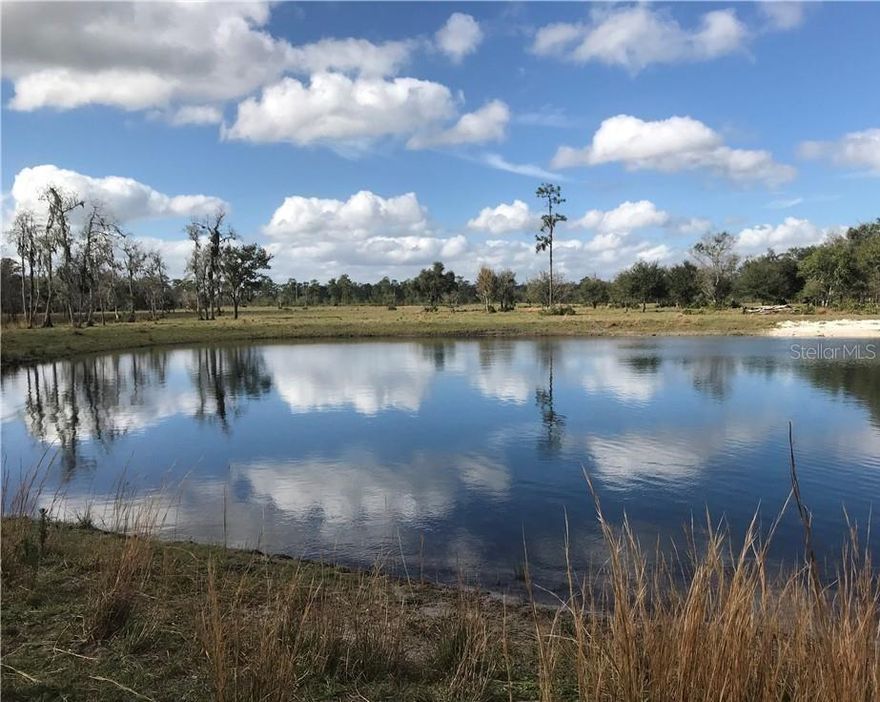 Country Living! Beautiful property with  plenty of wildlife and seclusion. Great piece of property.