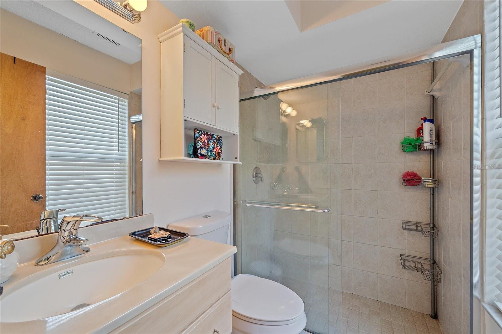 LAKE SARASOTA - Residential