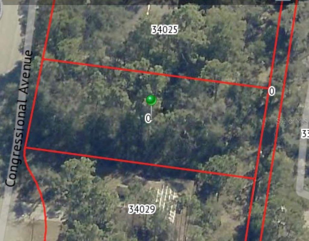 Photo of 34027 Congressional Avenue, Dade City, FL 33523 (MLS # W7884027)