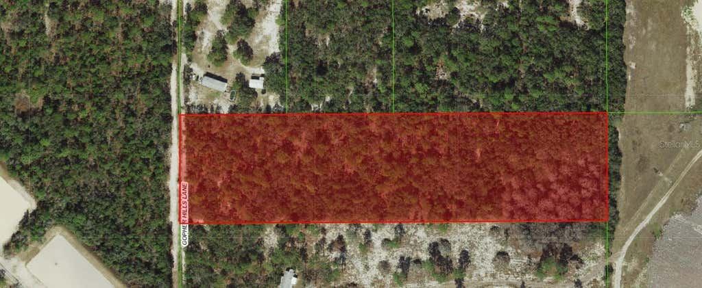 Photo of 0 Gopher Hills Ln, Hudson, FL 34667 (MLS # W7887489)