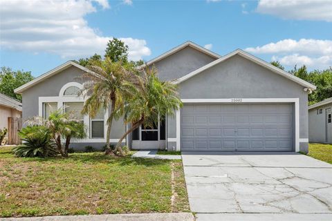 Photo of 25002 Hyde Park Boulevard, Land O Lakes, FL 34639 (MLS # TB8505013)