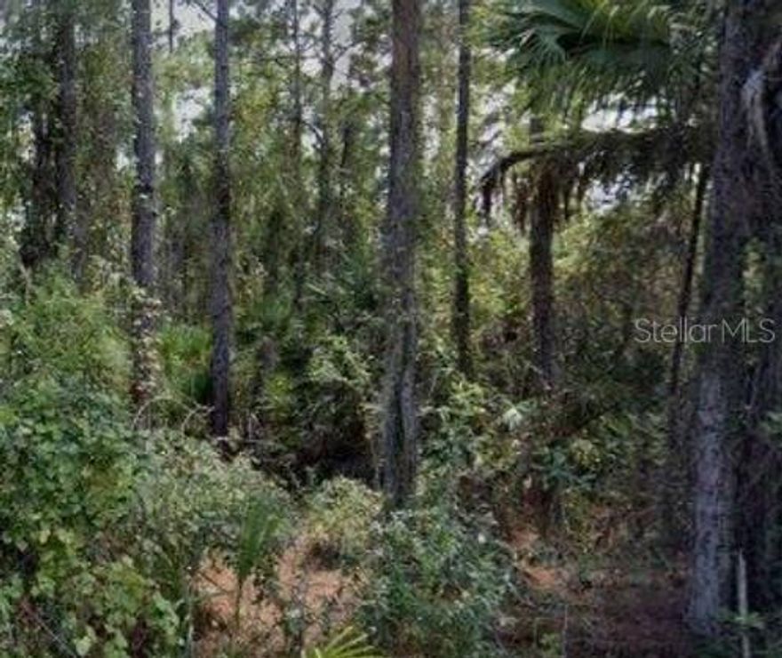 Welcome to 188 Tudor Rd SW, a rare vacant lot opportunity in Palm Bay, FL. This parcel offers versatile potential! Location highlights Include:
*Quiet, rural surroundings with a peaceful country feel, yet only minutes from city amenities.
*Close proximity to shopping, schools, parks, and major roads — enjoy both convenience and tranquility.
*Potential for future appreciation, especially as Palm Bay and surrounding areas continue growth.
*Great for builders, investors, or private buyers wanting to build their own home.
Don’t miss this chance — a blank canvas in a growing area with opportunity and flexibility.