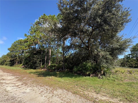 Photo of 0 Alba, Indian Lake Estates, FL 33855 (MLS # P4939789)
