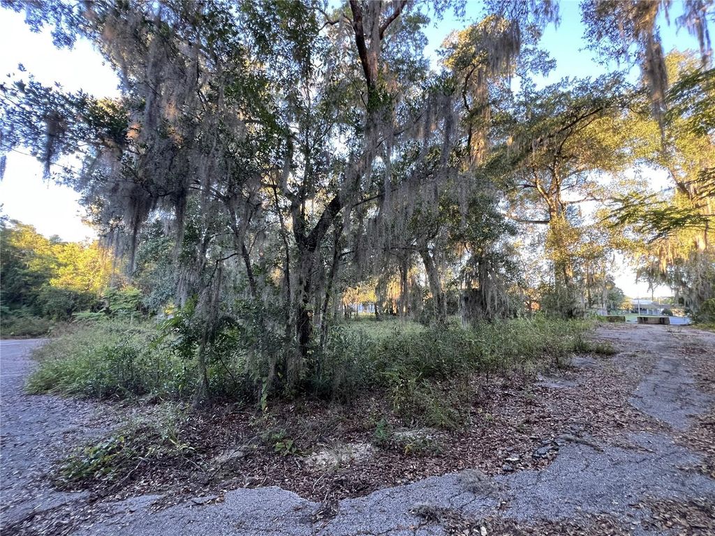 Photo of 0 W Plymouth Avenue, Deland, FL 32720 (MLS # TB8453199)