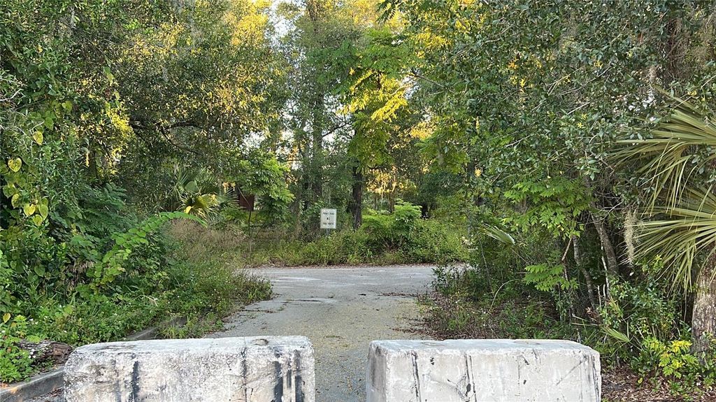Photo of 0 W Plymouth Avenue, Deland, FL 32720 (MLS # TB8453199)