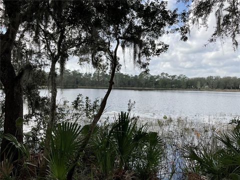 TBD Lot 51 MALAUKA RADIAL OCKLAWAHA FL 32179