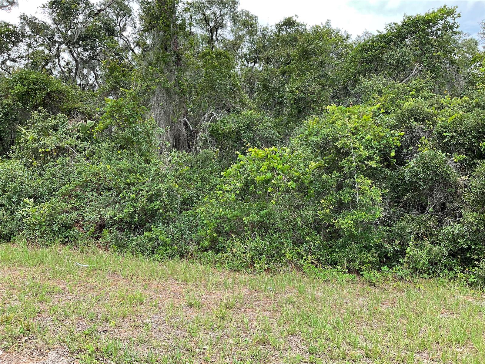 TBD Lot 51 MALAUKA RADIAL