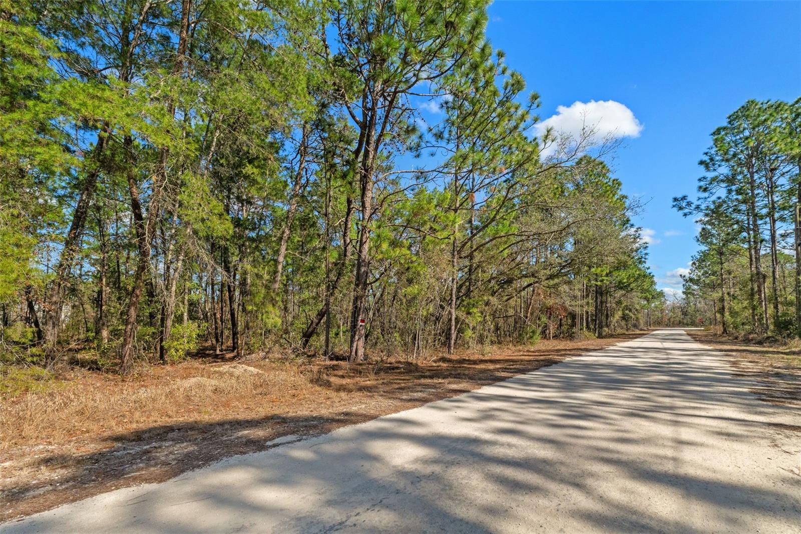 13085 TINAMOU AVENUE