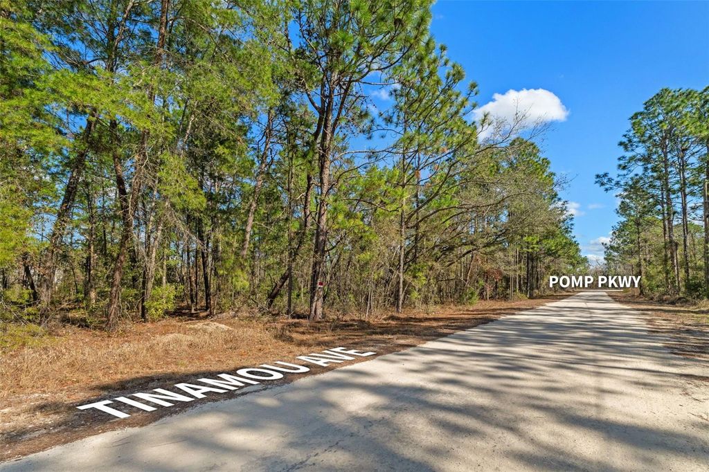 Photo of 13085 Tinamou Avenue, Weeki Wachee, FL 34614 (MLS # TB8469594)