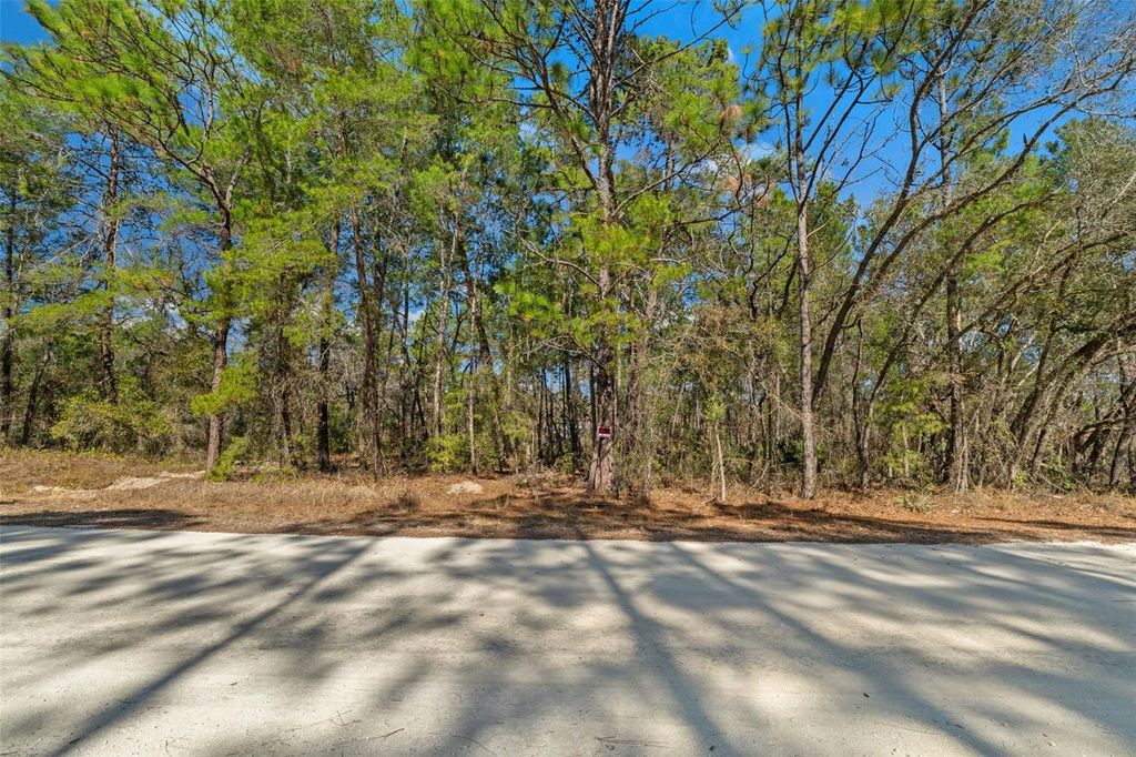 Photo of 13085 Tinamou Avenue, Weeki Wachee, FL 34614 (MLS # TB8469594)