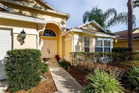 A home in TAMPA