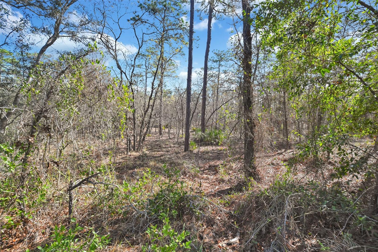 SUGARMILL WOODS CYPRESS VILLAGE - Residential