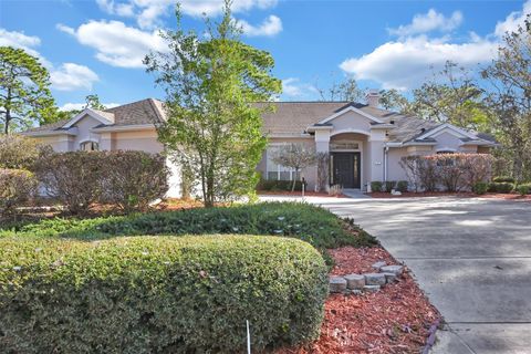 Photo of 17 Elder Court E, Homosassa, FL 34446 (MLS # OM722852)