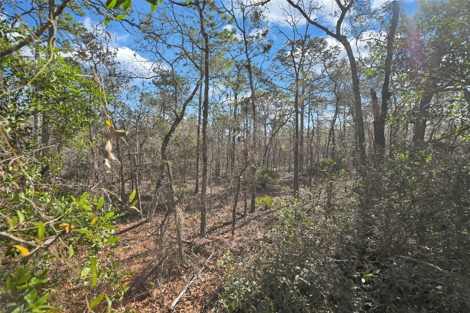 SUGARMILL WOODS CYPRESS VILLAGE - Residential