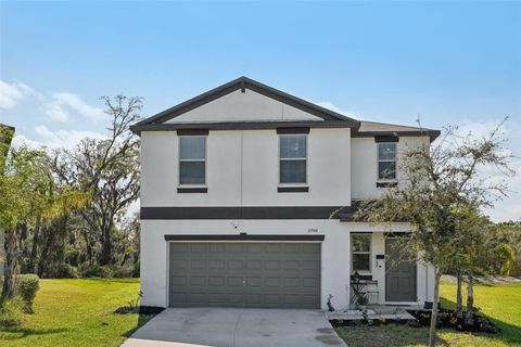 11944 MIRACLE MILE DRIVE RIVERVIEW FL 33578
