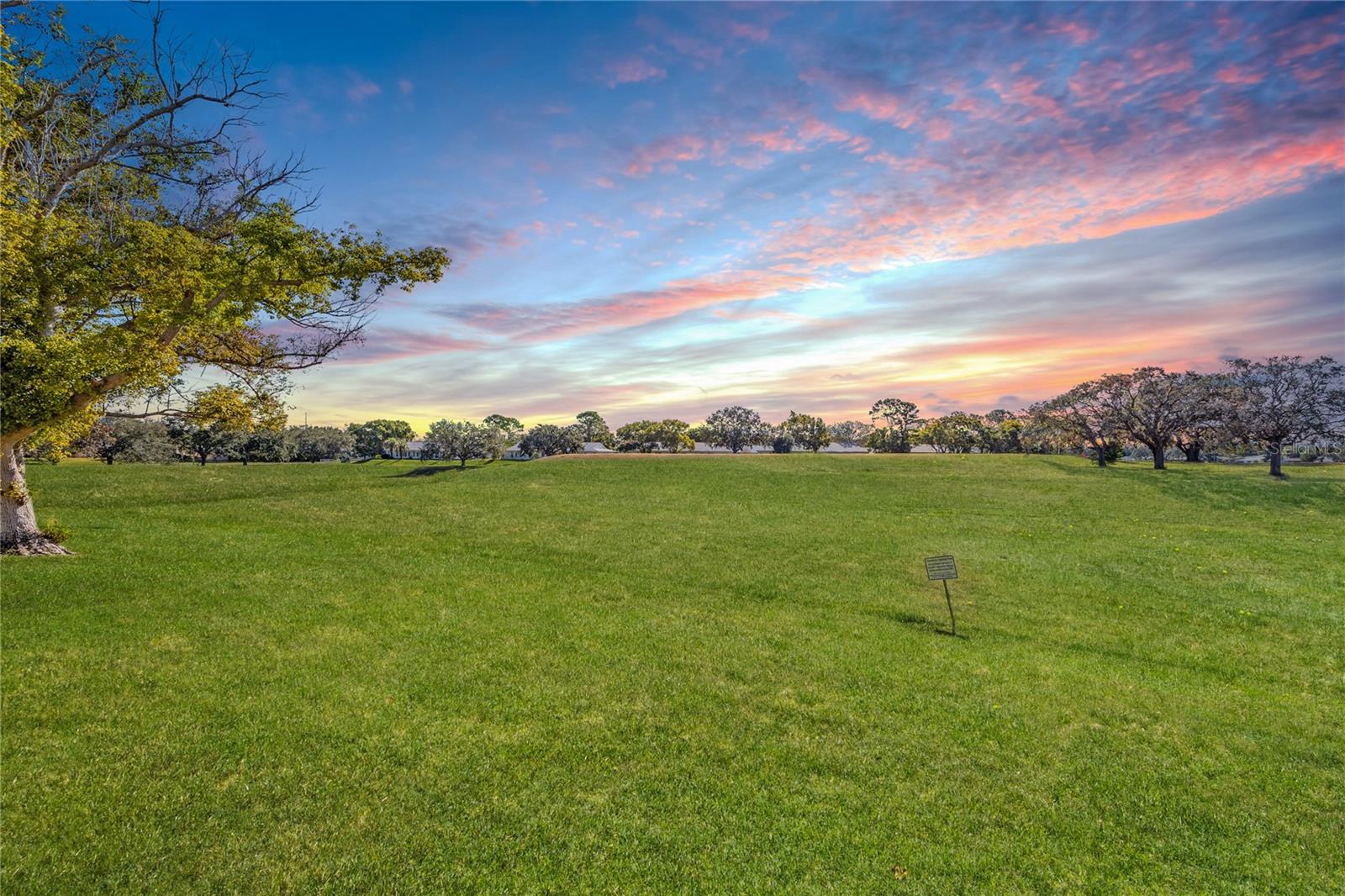 11231 DOLLAR LAKE DRIVE 6
