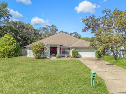 Photo of 3027 Bayshore Drive, Spring Hill, FL 34608 (MLS # W7880085)