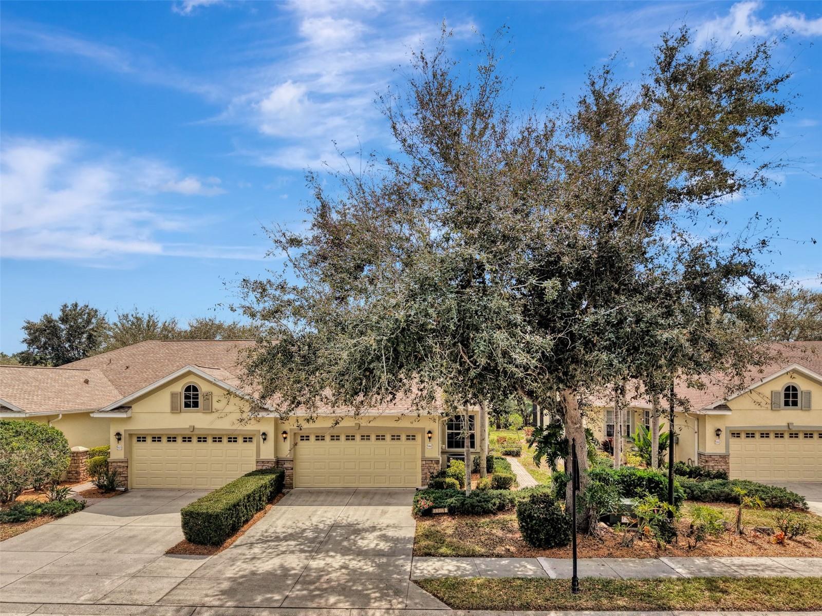 PENNINGTON PLACE - Residential