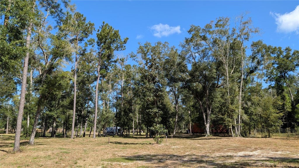Photo of 10591 160th Street, Mc Alpin, FL 32062 (MLS # O6453148)