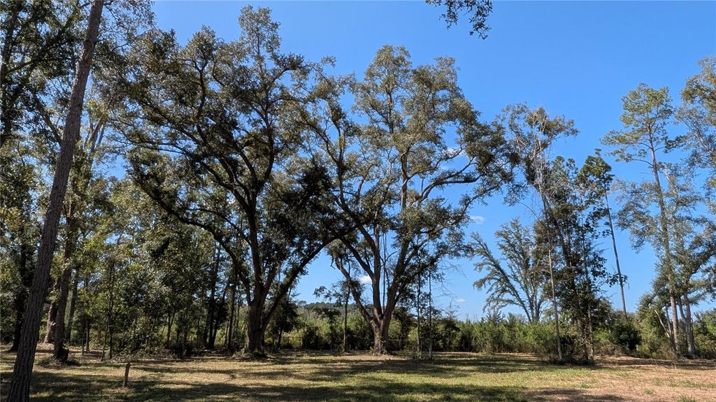 Photo of 10591 160th Street, Mc Alpin, FL 32062 (MLS # O6453148)