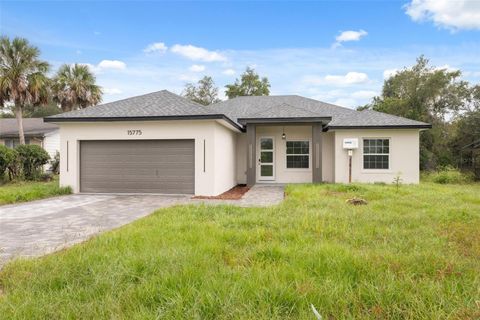 Photo of 15775 SW 46th Circle, Ocala, FL 34473 (MLS # O6351182)