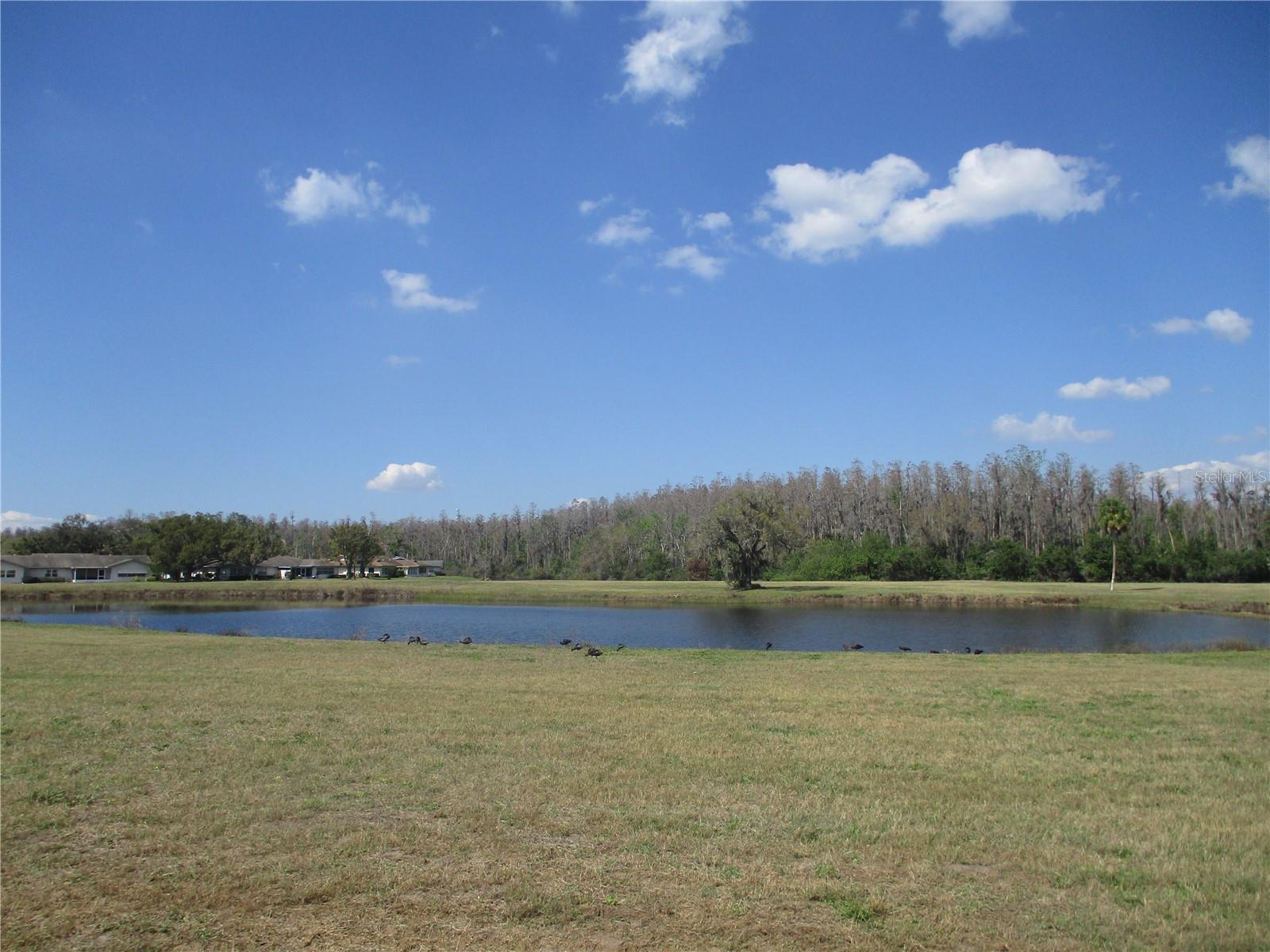 HIGHGATE F CONDO - Residential Lease