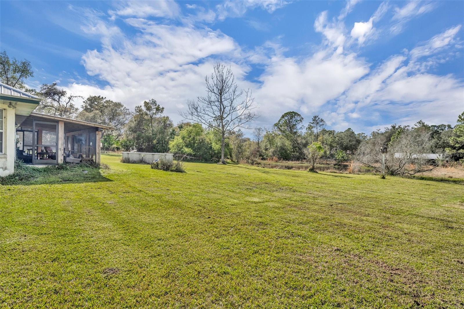 42141 CHINABERRY STREET