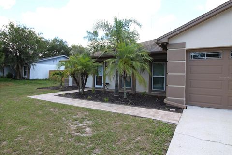 A home in RIVERVIEW