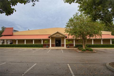 15043 MAIN STREET ALACHUA FL 32615