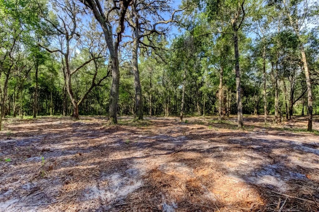 Photo of 14004 Peace Boulevard, Spring Hill, FL 34610 (MLS # TB8416692)